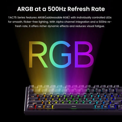 75% RGB Wired Gaming Mechanical Keyboard