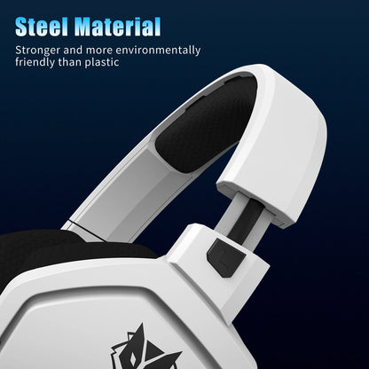 Dual Wireless Gaming Headset with Mic